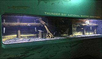Underwater Exhibit
