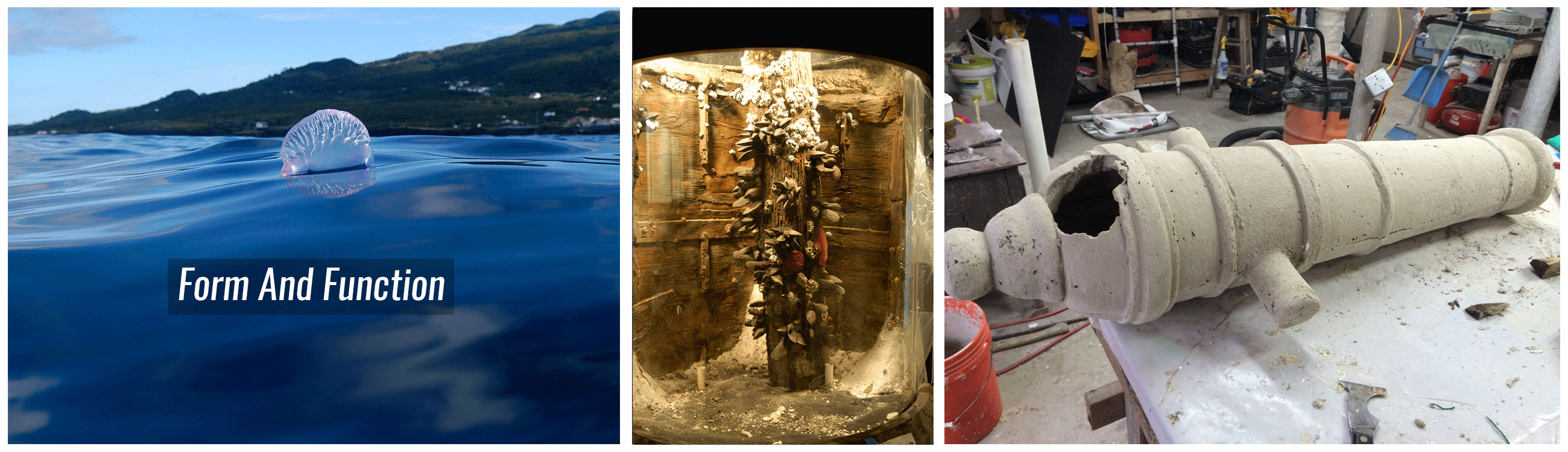 Animal Exhibits and Design