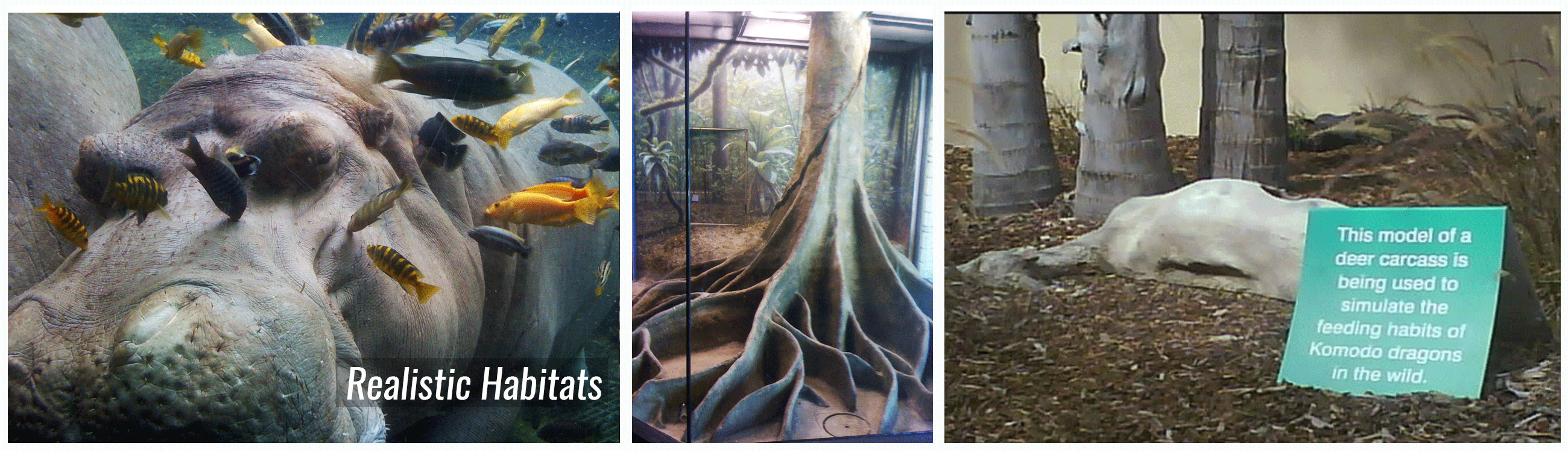 Animal... it takes one to know one.